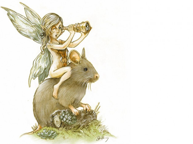 Обои картинки фото фэнтези, феи