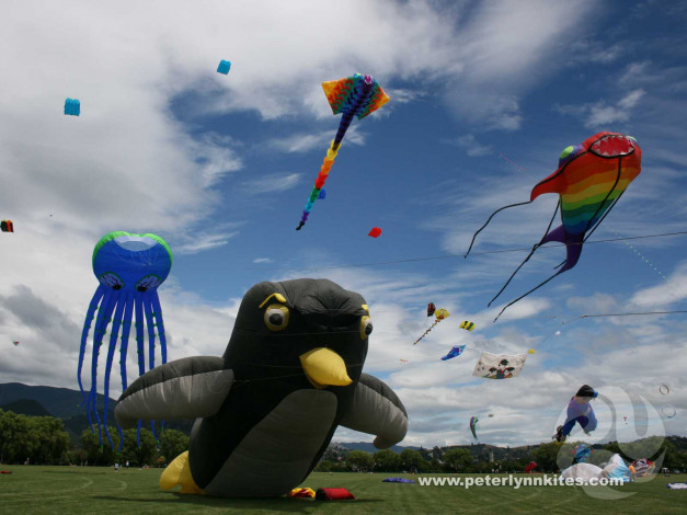 Обои картинки фото авиация, воздушные, шары