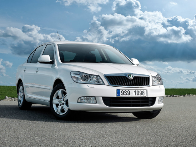 Обои картинки фото автомобили, skoda