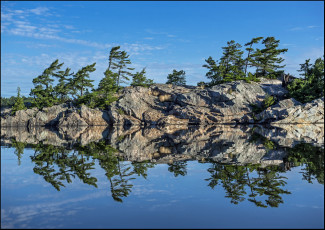Картинка природа реки озера море берег скалы ели