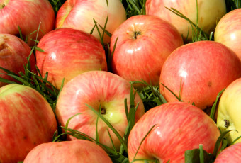 Картинка еда Яблоки плоды макро