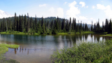 Картинка mount rainier national park usa washington природа реки озера парк озеро лес