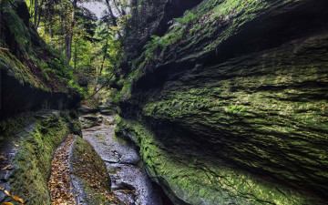 Картинка природа другое камни