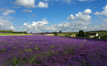 Картинка природа поля дома облака