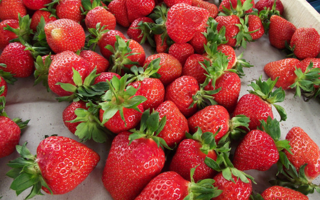 Обои картинки фото еда, клубника, земляника