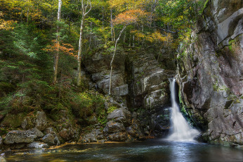 Картинка природа водопады лес водопад река