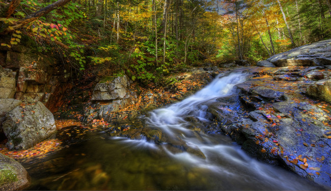 Обои картинки фото природа, реки, озера, лес, осень, река