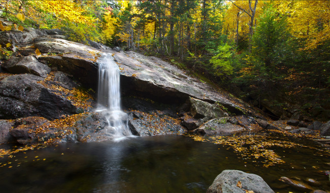 Обои картинки фото природа, водопады, водопад, лес, река