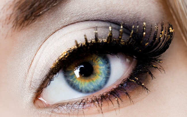 Обои картинки фото разное, глаза, ресницы, зрачок, взгляд, макро