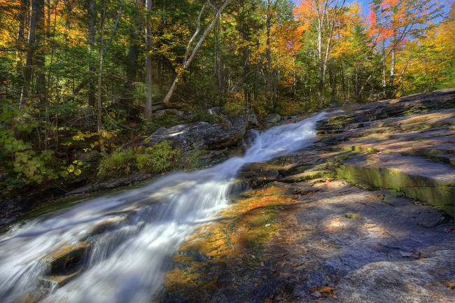 Обои картинки фото природа, реки, озера, осень, река, лес