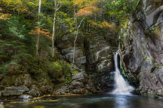Обои картинки фото природа, водопады, лес, водопад, река
