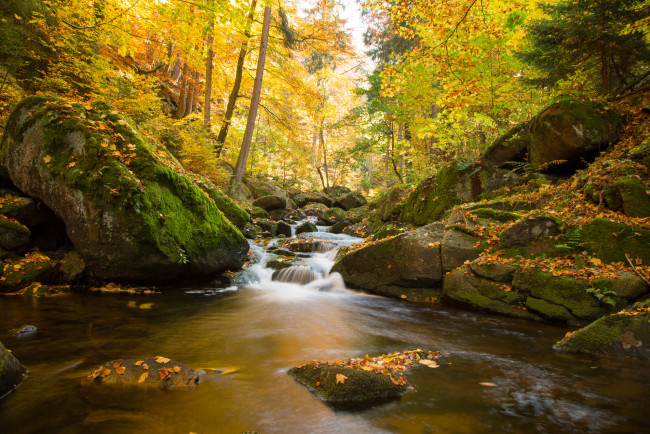 Обои картинки фото природа, реки, озера, камни, лес