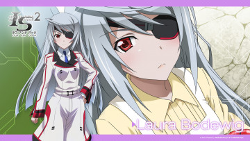 обоя infinite stratos 2, аниме, infinite stratos, девушка, взгляд, фон