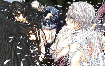 Картинка аниме vampire+knight vampire knight черепа перья yuki cross крылья zero kiryu kuran kaname