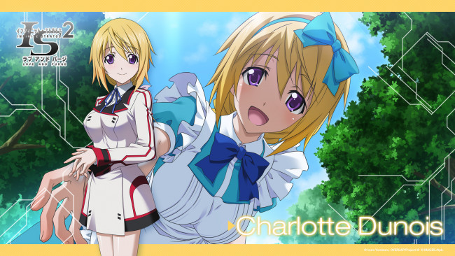 Обои картинки фото infinite stratos 2, аниме, infinite stratos, девушка, взгляд, фон, бантик