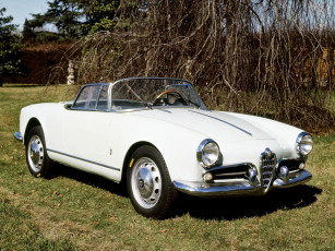 Картинка alfa+romeo+giulietta+spider+concept+1955 автомобили alfa+romeo 1955 concept spider alfa romeo giulietta