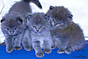 Картинка разное компьютерный+дизайн фон коты