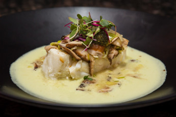 Картинка еда салаты +закуски снедь