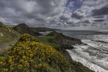 Картинка природа побережье простор