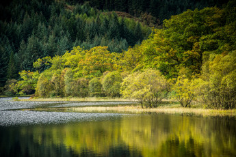 Картинка природа реки озера простор