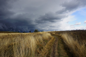 Картинка природа дороги простор