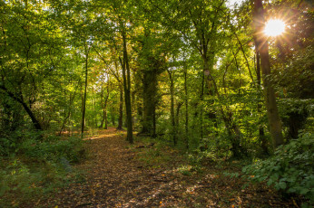 Картинка природа дороги простор