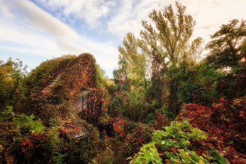 Картинка природа пейзажи простор