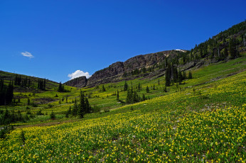 Картинка природа пейзажи простор