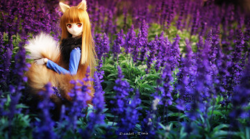 Картинка разное игрушки ушки девушка игрушка поле цветы