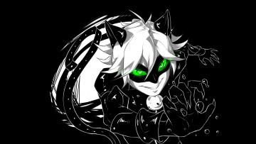 Картинка мультфильмы lady+bug+a+super-ko& 269 ka кот