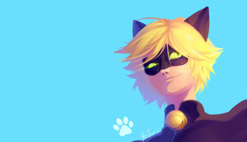 Картинка мультфильмы lady+bug+a+super-ko& 269 ka кот