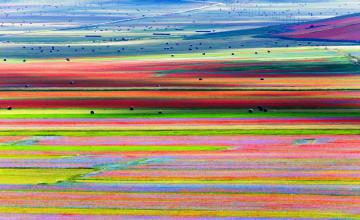 Картинка умбрия +италия природа поля цвета стога столбы