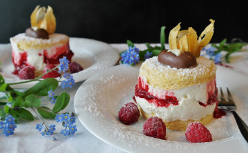 Картинка еда пирожные +кексы +печенье мусс малина физалис