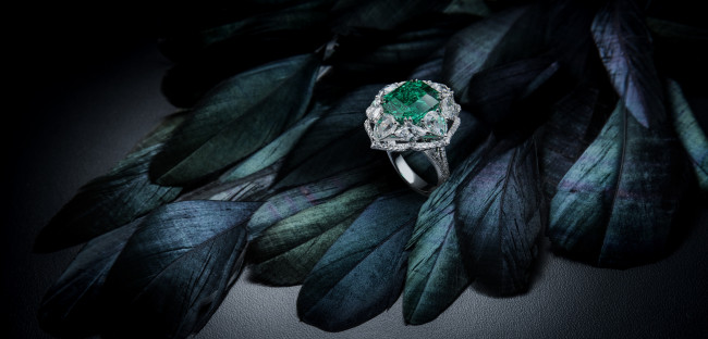 Обои картинки фото разное, украшения,  аксессуары,  веера, кольцо, украшение, камень, перья