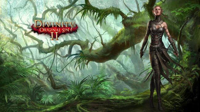 Обои картинки фото видео игры, divinity,  original sin ii, original, sin, ii, ролевая, action