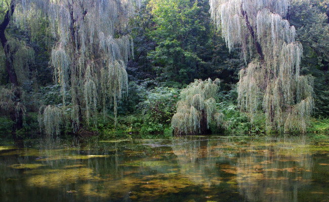 Обои картинки фото природа, реки, озера, простор