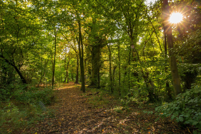 Обои картинки фото природа, дороги, простор