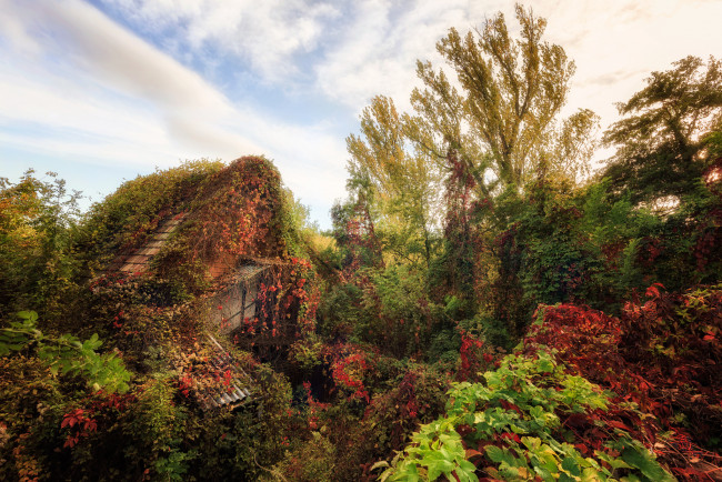 Обои картинки фото природа, пейзажи, простор