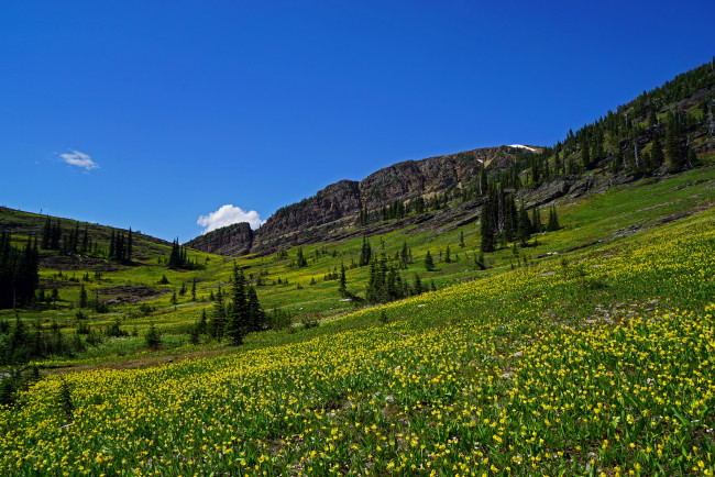 Обои картинки фото природа, пейзажи, простор