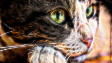 Картинка календари компьютерный+дизайн морда взгляд кошка