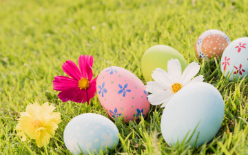 обоя праздничные, пасха, pastel, colors, decoration, easter, flowers, spring, яйца, цветы, трава, eggs