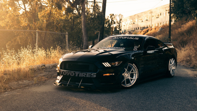 Обои картинки фото автомобили, mustang, ford