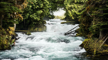 Картинка mckenzie+river oregon природа реки озера mckenzie river
