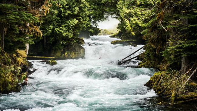Обои картинки фото mckenzie river, oregon, природа, реки, озера, mckenzie, river