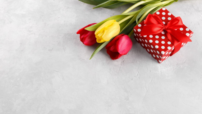 Обои картинки фото праздничные, подарки и коробочки, подарок, лента, бант, тюльпаны