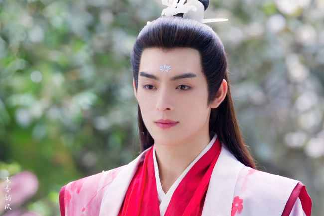 Обои картинки фото кино фильмы, love of petals, ван, хао, сюань, love, of, petals