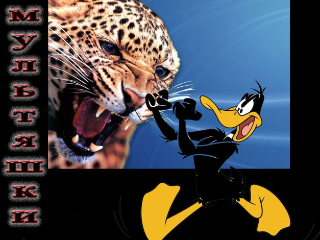 Обои картинки фото боец, юмор, приколы