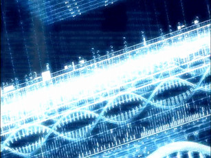 Картинка аниме appleseed