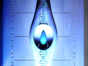 Картинка аниме appleseed