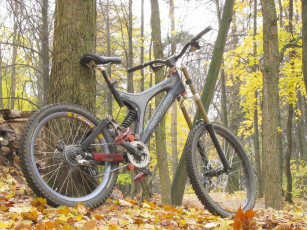 Картинка спорт велоспорт